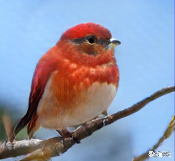 AIGC是日烧百万的销金窟,但有应用场景的公司不在乎