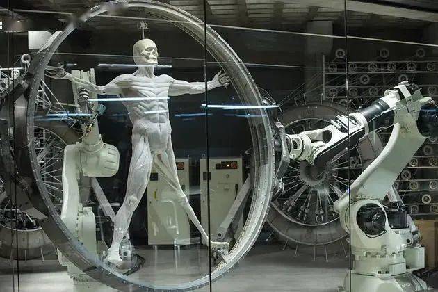 AI时代扑面而来 人工翻译会被AI取代吗?文字工作者还会有未来吗?