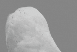 AIGC算力沙龙,大咖齐聚分享内行认知